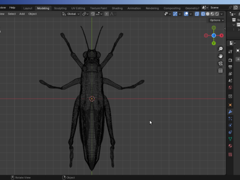 Grasshopper-Low-Poly 3D Model