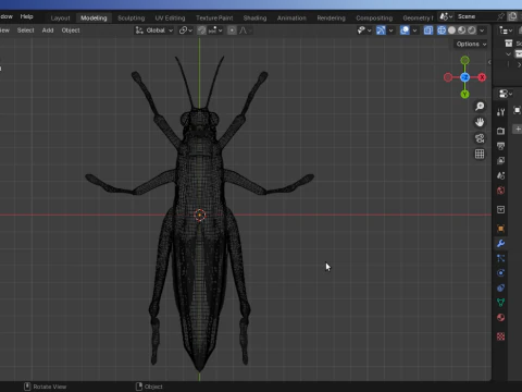 &Ccedil;ekirge-D&uuml;ş&uuml;k Poli 3D Model