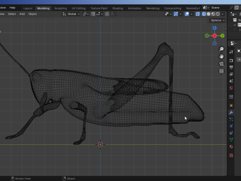 Grasshopper-Low-Poly 3D Model