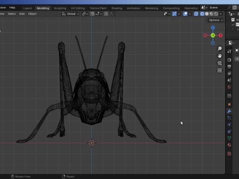 Grasshopper-Low-Poly 3D Model