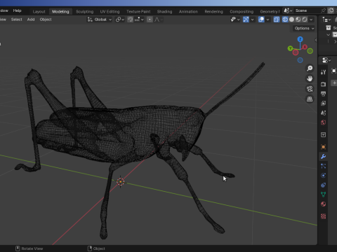 Grasshopper-Low-Poly 3D Model