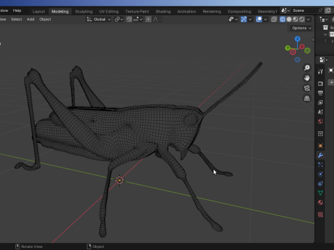 Grasshopper-Low-Poly 3D Model