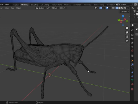 &Ccedil;ekirge-D&uuml;ş&uuml;k Poli 3D Model