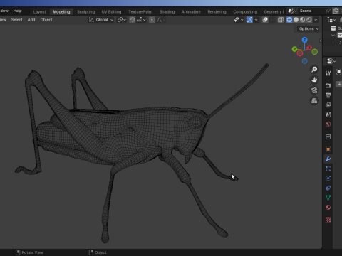 Grasshopper-Low-Poly 3D Model