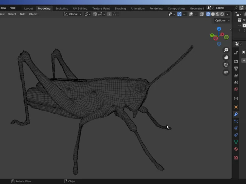 &Ccedil;ekirge-D&uuml;ş&uuml;k Poli 3D Model
