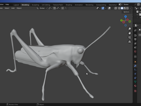 Grasshopper-Low-Poly 3D Model
