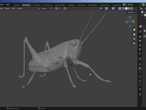 Grasshopper-Low-Poly 3D Model