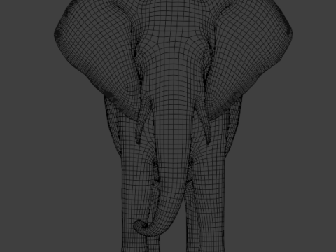 Elephant 3D-Model 3D Model