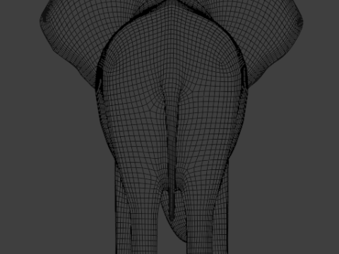 Elephant 3D-Model 3D Model