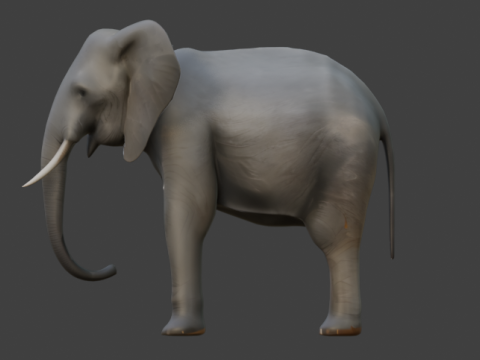 Elephant 3D-Model 3D Model