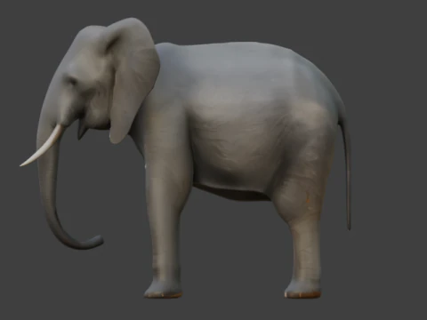 Elephant 3D-Model 3D Model