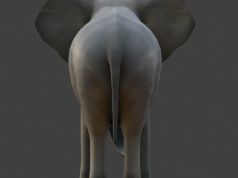 Elephant 3D-Model 3D Model