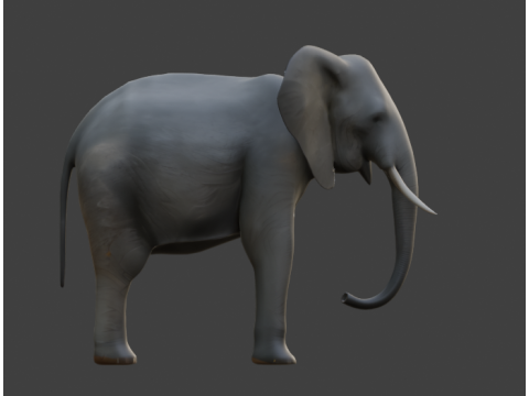 Elephant 3D-Model 3D Model