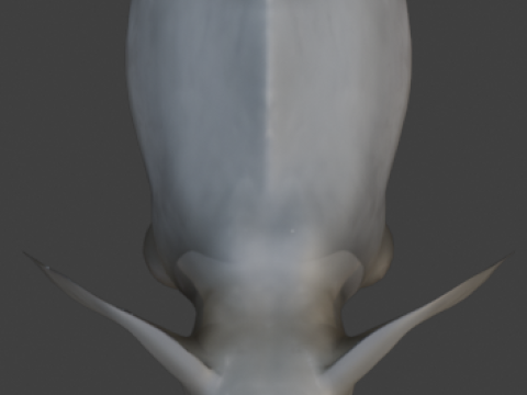 Elephant 3D-Model 3D Model