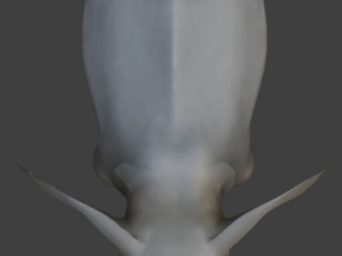 Elephant 3D-Model 3D Model
