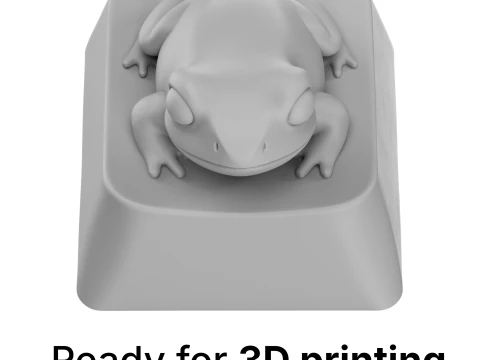 Cute Frog Keycap - Keycap for mechanical keyboard 3D Print Model