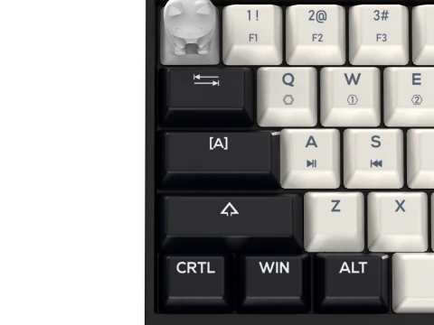 Cute Cat Keycap - Keycap for mechanical keyboard 3D Print Model