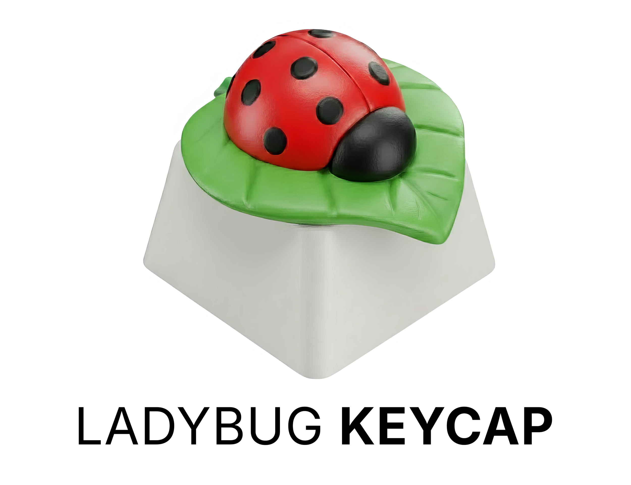 Ladybug Keycap - Keycap for mechanical keyboard 3D Print Model .c4d .max .obj .3ds .fbx .stl .blend 