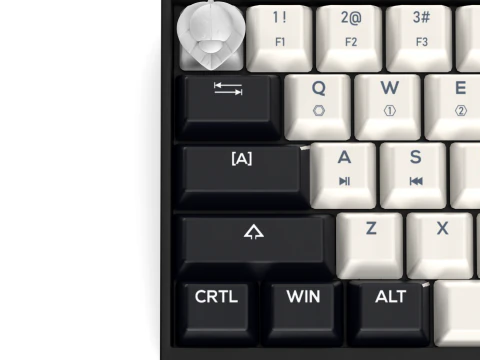 Ladybug Keycap - Keycap for mechanical keyboard 3D Print Model