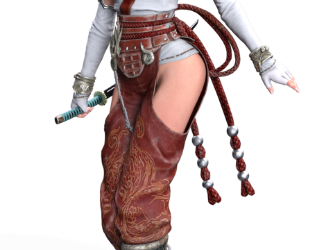 Momiji La Doncella Del Santuario Del Drag&oacute;n Ninja Gaiden Modelo de impresión 3D