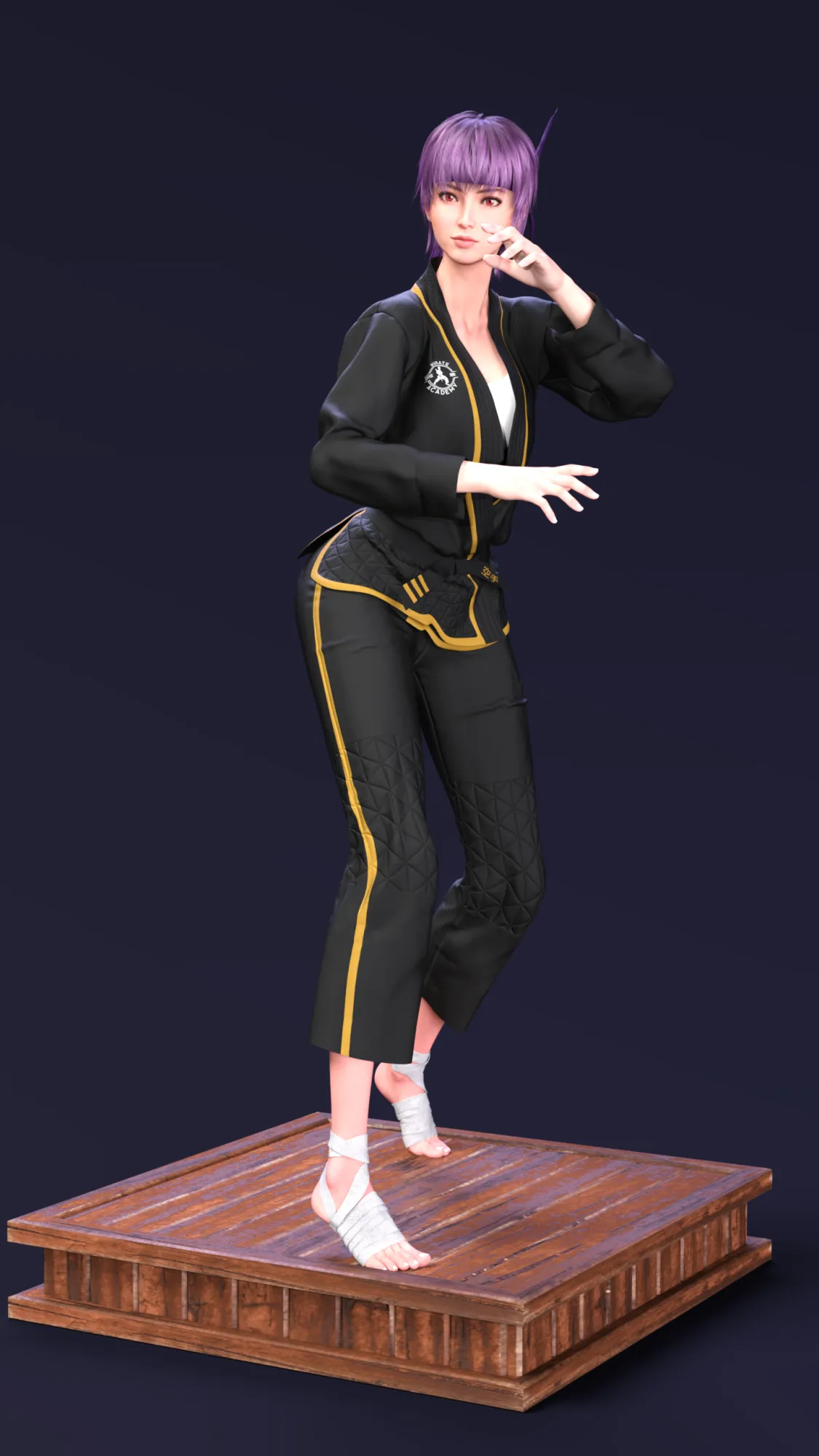 Ayane The Violet Shadow Martial Arts Academy Edition 3D Print Model .c4d .max .obj .3ds .fbx .stl .blend