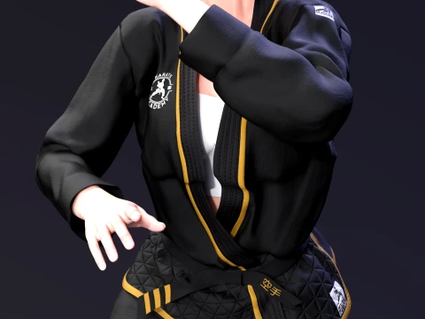 Ayane The Violet Shadow Martial Arts Academy Edition 3D Print Model