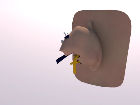 Anatomie des menschlichen Ohrs 3D Modell