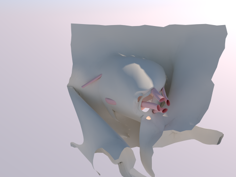 Anatomi Mata Manusia Model 3D