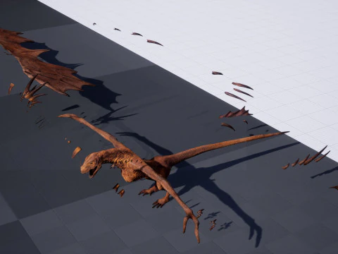 Wyvern unity unreal 25 animations rig maya 3D Model