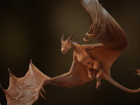 Wyvern unity unreal 25 animations rig maya 3D Model