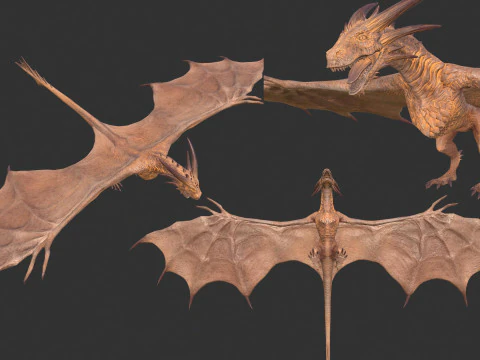 Wyvern unity unreal 25 animations rig maya 3D Model
