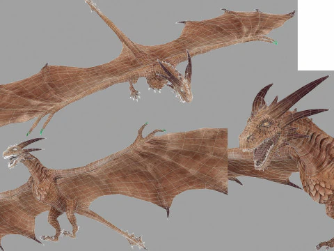 Wyvern unity unreal 25 animations rig maya 3D Model