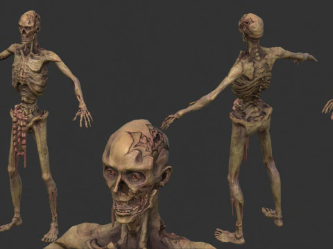 Zombie skinny 3D Model