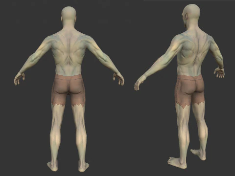 Orc unreal unity 19 animations rig in maya 3D Model