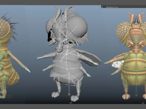 Flying Cartoon Fly unreal unity 19 animations rig in maya 3D Model