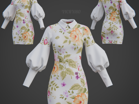 Mooie mini-jurk met bloemenprint en bodycon-jurk met pofmouwen en kraag 3D Model