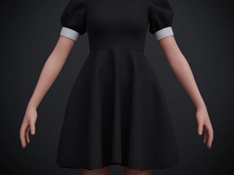 Black Peter pan collar dress 3D Model