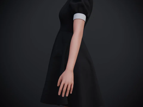 Black Peter pan collar dress 3D Model