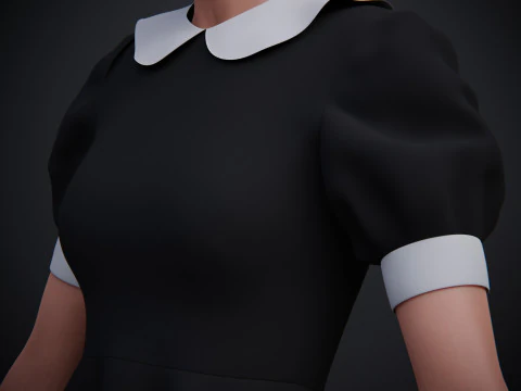 Black Peter pan collar dress 3D Model