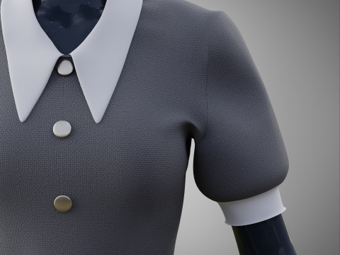 Damska szara sukienka biurowa z kołnierzykiem Model 3D odzieży Model 3D