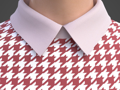 Womens Houndstooth Pattern Office Dress - 3D Clothing Model 3D Model