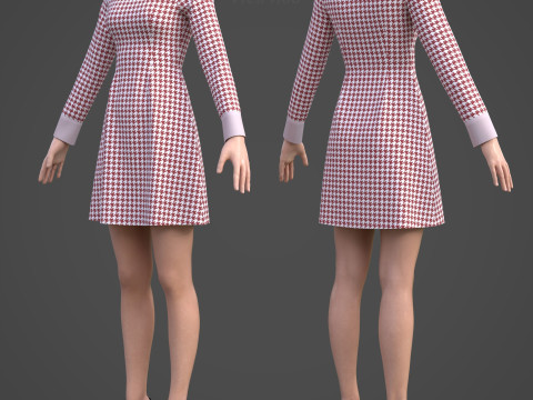 Womens Houndstooth Pattern Office Dress - 3D Clothing Model 3D Model