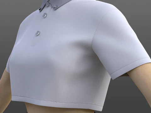 Plaid Pleated Mini Skirt Cropped Polo Shirt School Uniform - 3D Clothing Model 3D Model
