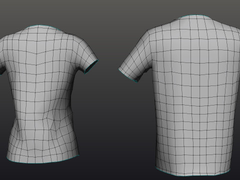 Low Poly Male Female Graphic T-Shirt Multiple Colors - 3D Clothing Model 3D Model