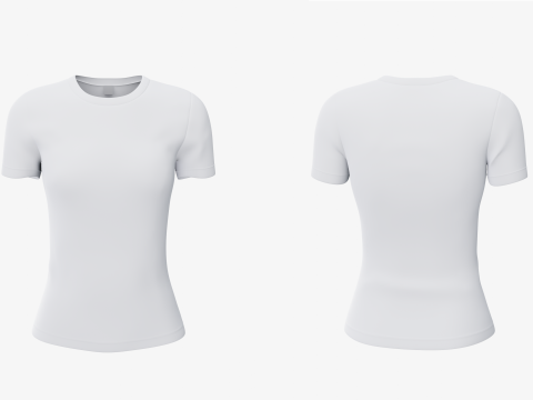 Female T-shirt 3D Clothing Model 3D Model