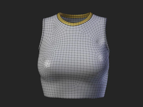 Womens Leather Skater Dress - Dungaree Skater Skirt Crop Top 3D Clothing 3D Model