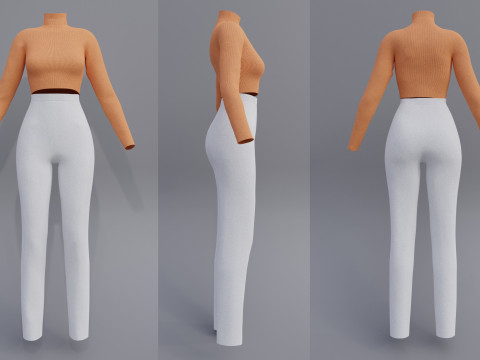Female Outfit - Turtleneck Crop Top and Pants Set 3D Clothing model 3D Model