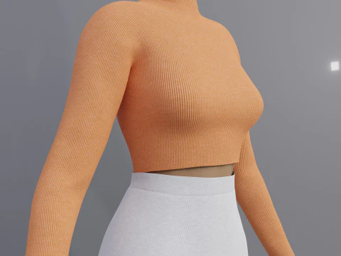 Roupa Feminina - Conjunto de Top e Cal&ccedil;a com Gola Alta Modelo 3D Modelo 3D