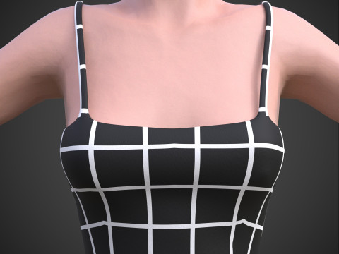 Two-Piece Outfit Plaid Singlet Crop Top and Mini Skirt Female Clothing Asset 3D Model