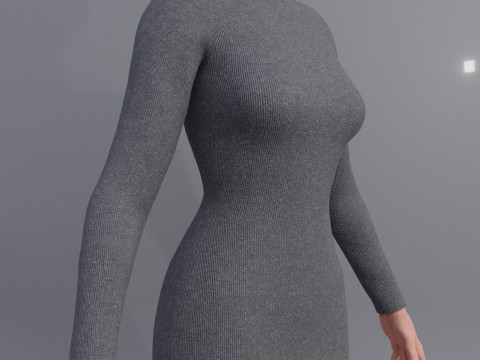 Long sleeve Turtleneck Bodycon Wool Dress 3D Female Clothing Asset 3D Model